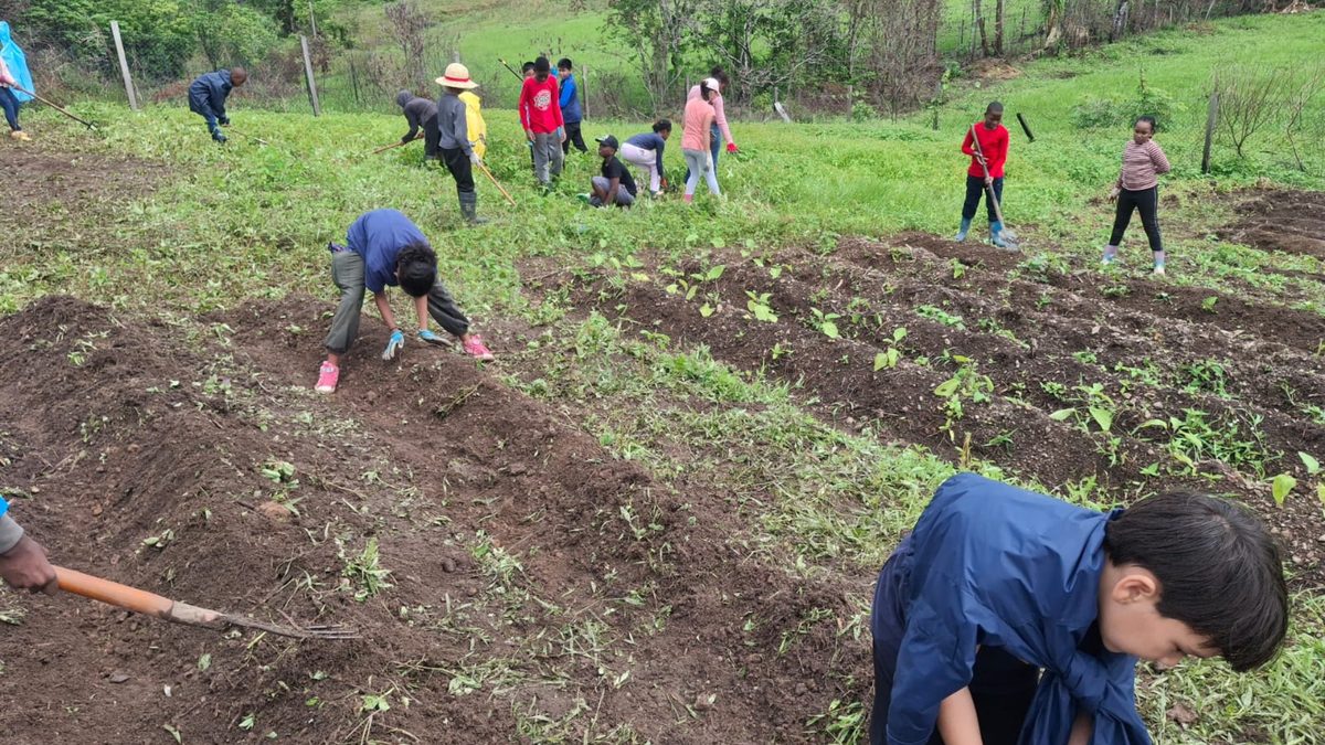 Classe entière au potager